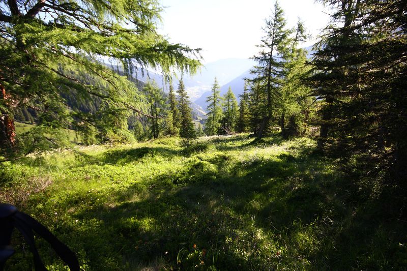 Datei:Klockalm 57767 2015-07-11.jpg