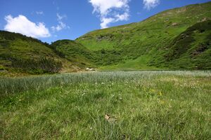 Plannersee 65292 2014-06-26.jpg