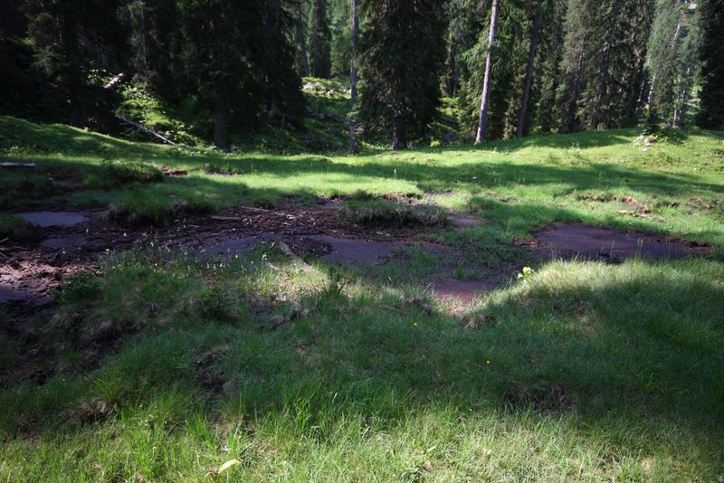 Datei:Prechtelsboden- kemetgebirge 96974 2015-07-16.jpg