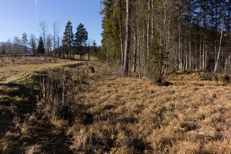 Datei:Ramsauertorf 03.jpg