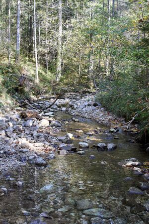 Riesenbach Angern Bad M-0208-2023-10-13.jpg