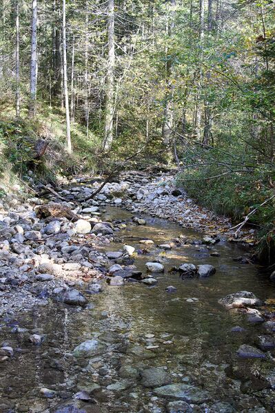 Datei:Riesenbach Angern Bad M-0208-2023-10-13.jpg
