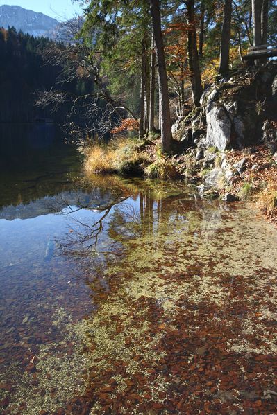 Datei:Toplitzsee 77730 2014-11-03.jpg