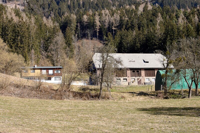 Datei:BH Stauchner goldbichl 11-0761-2025-03-06.jpg