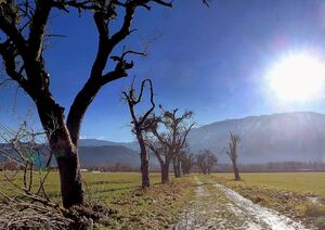 Ennsau Liezen150460.JPG