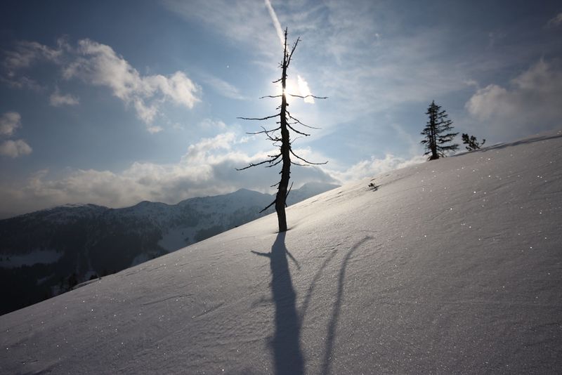 Datei:Höllermahd-preunegg 82918 2015-03-15.jpg