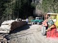 Holz 10m Stoß.jpg