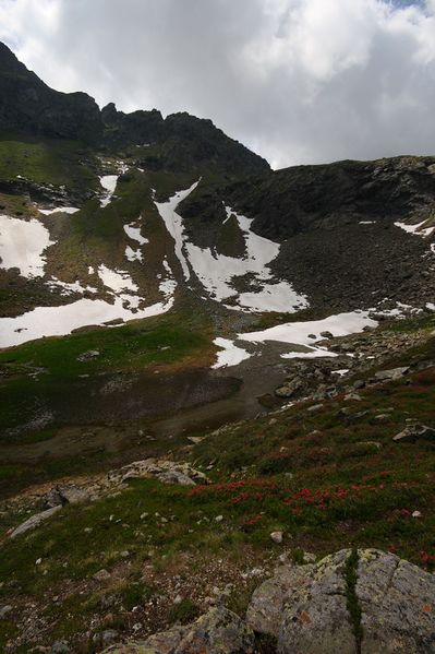 Datei:Im wildkar 23624 2008-06-26.jpg