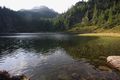 Landauersee 14710 2011-08-31.jpg
