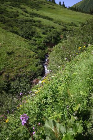 Mößnakarbach 0911 13-07-12.jpg