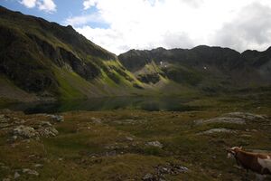 Oberer lanschitzsee 98155 2011-08-12.jpg