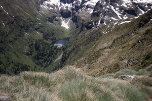 Obersee -hochlabeck 49526 2017-06-09.jpg