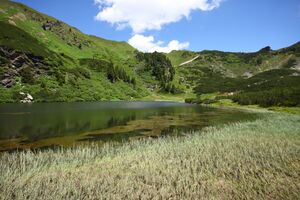 Plannersee 65285 2014-06-26.jpg