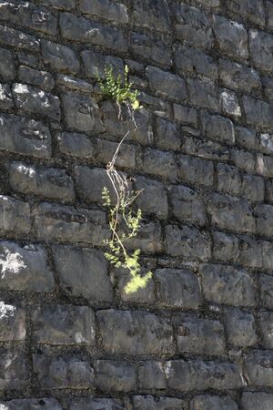 Ramsauer strasse 67099 2014-08-02.jpg