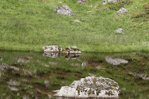 Südl-see tuchmoarkar 79712 2018-07-04.jpg