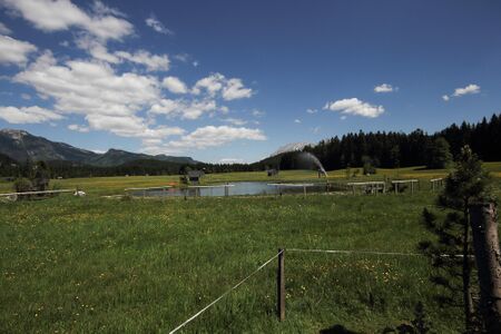 Stiegerteich mühlreith 48188 2017-05-27.jpg