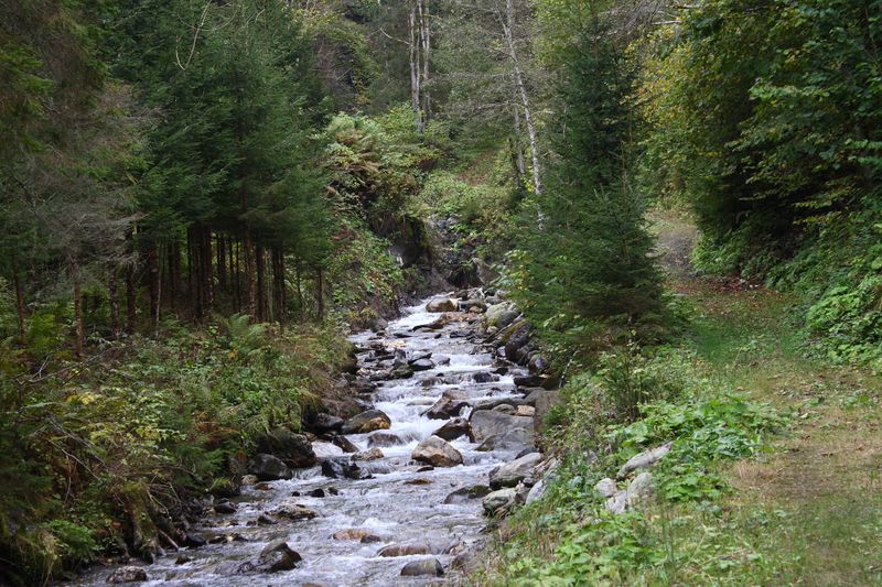 Datei:Teufelsschlucht Seewigtal 73321 2014-10-02.jpg