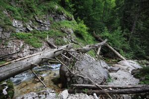 Wsf zimitzbach grundlsee 77344 2018-06-04.jpg