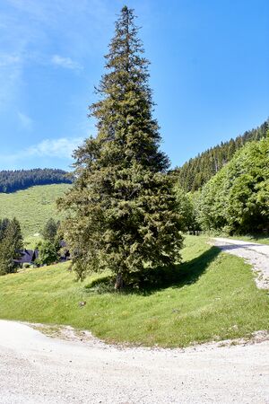 Ardningalm-1010-2022-05-31.jpg