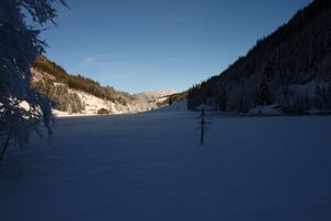 Bodensee 26521 2014-01-01.jpg