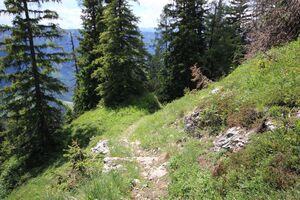 Gößlalm 77686 2018-06-04.jpg