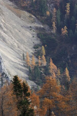 Gamsstelle loser trisselwand-4103-2018-11-04.jpg