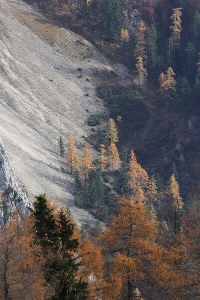 Datei:Gamsstelle loser trisselwand-4103-2018-11-04.jpg