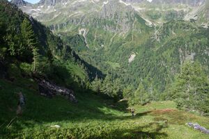 Im Hüttkar 39502 2012-06-29.jpg