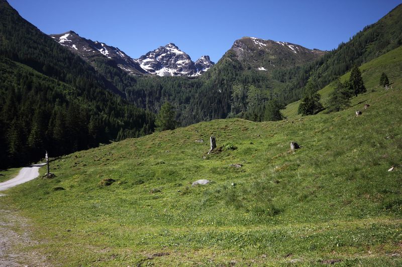 Datei:Maierlalm gumpental 49348 2017-06-09.jpg