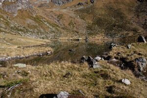 Rantensee 75044 2014-10-19.jpg