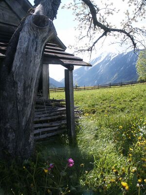 Rohrmoos 46394 2004-05-24.jpg