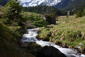 Strickerbach 55493 2014-05-02.jpg