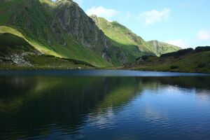 Untere riednersee 65378 2014-06-26.jpg