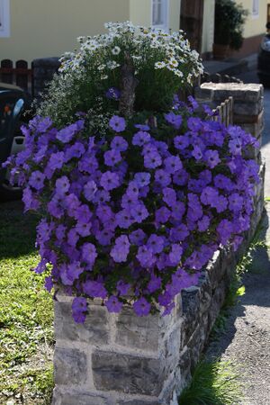 Weissenbach haus 0075 13-09-05.jpg