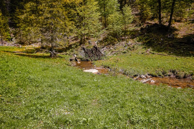 Datei:Wolfbauer wasserfallbach-400-2020-05-18-3.jpg