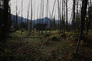 Altaussee seewiese 79059 2014-11-15.jpg