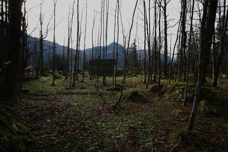 Datei:Altaussee seewiese 79059 2014-11-15.jpg