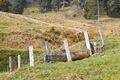 Ausseer sandlingalm-0047-2021-10-11.jpg