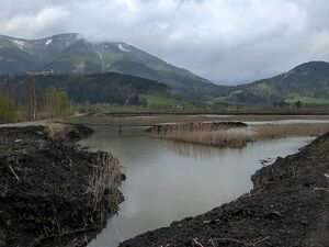 Frauenberger Torfstich70274.JPG