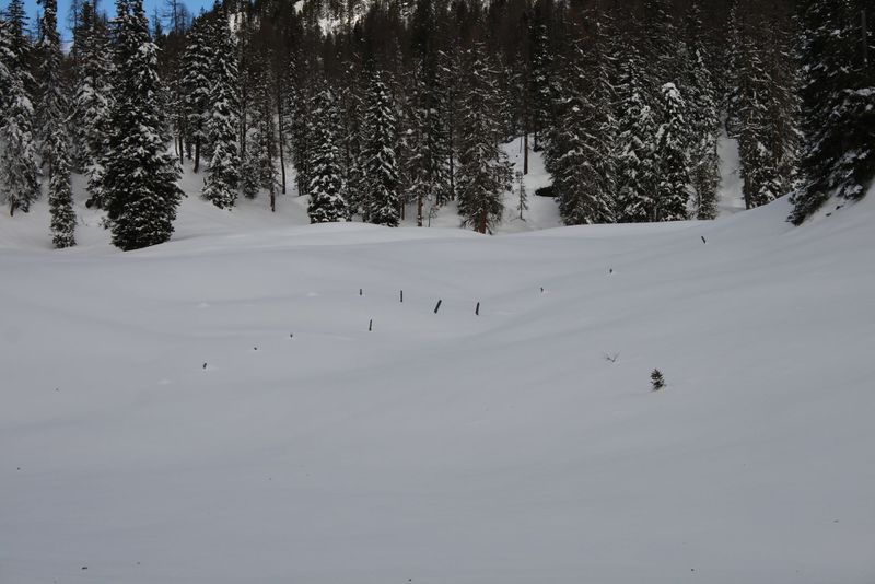 Datei:Große wiesmahd 80427 2015-01-07.jpg