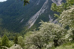 Kirchweg pürgg-0248-2023-06-01.jpg