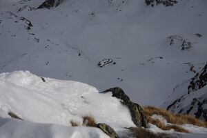 LandawirIMG 1602.jpg