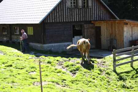 Messnerhütte tuchmoar 582 13-09-05.jpg