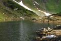 Obere riednersee 65466 2014-06-26.jpg
