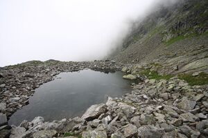 Südöstl See im grubachkar 80542 2016-08-07.jpg