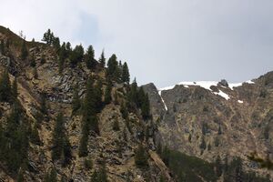 Strickerkar 55710 2014-05-02.jpg