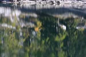 Vorderer Lahngangsee 2145 2011-10-16.jpg