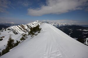 Weitgaßbretter 83805 2015-03-21.jpg