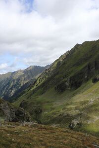 Zirbenböden graunock 56086 2017-08-22.jpg