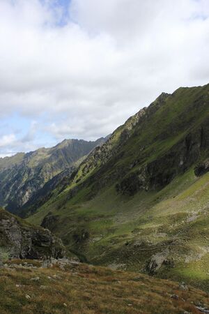 Zirbenböden graunock 56086 2017-08-22.jpg